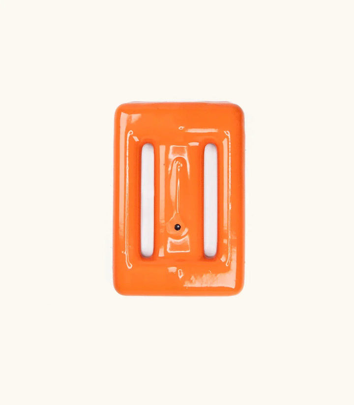 Pesas de buceo para peces payaso