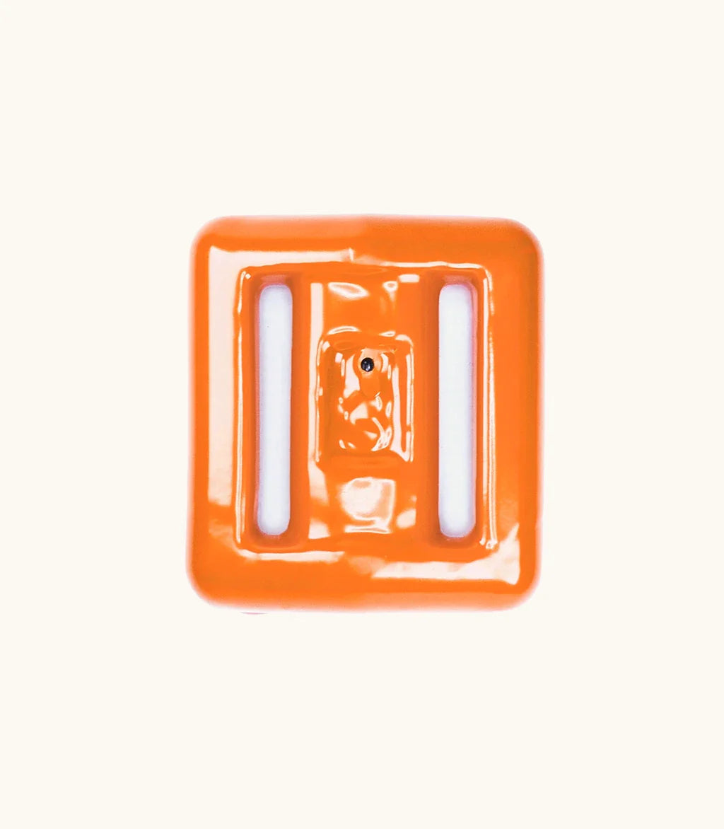 Pesas de buceo para peces payaso