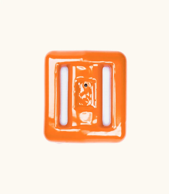 Pesas de buceo para peces payaso